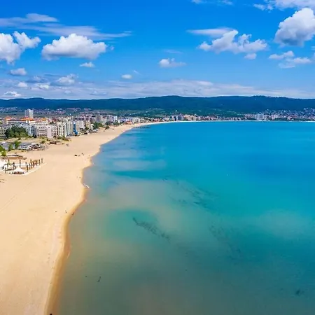 Amadeus1 - 37b Large *